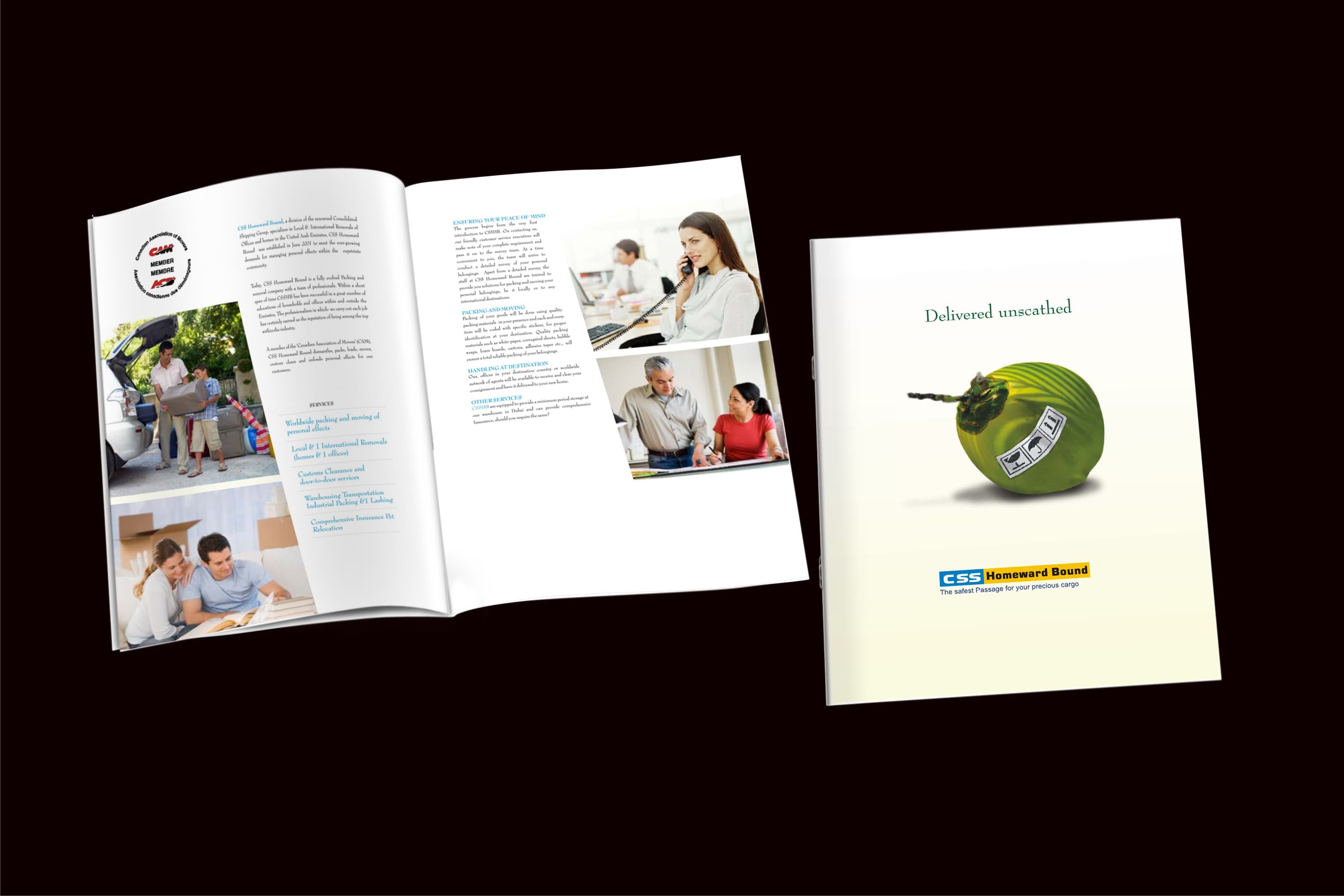 Calligraphy & Lettering